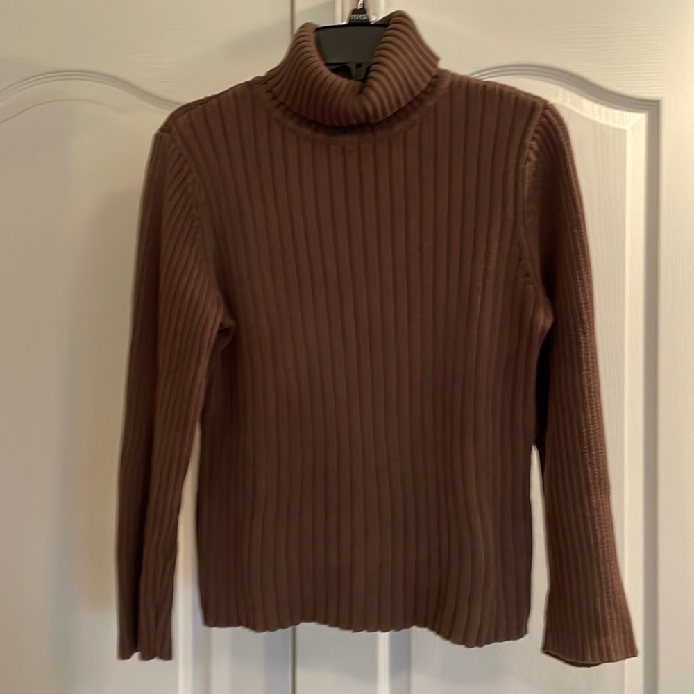J Jill Cotton Turtleneck Sweater
